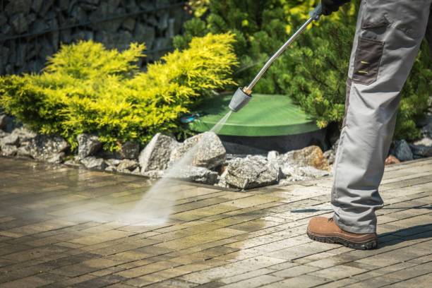 Best Roof Washing  in Bethalto, IL