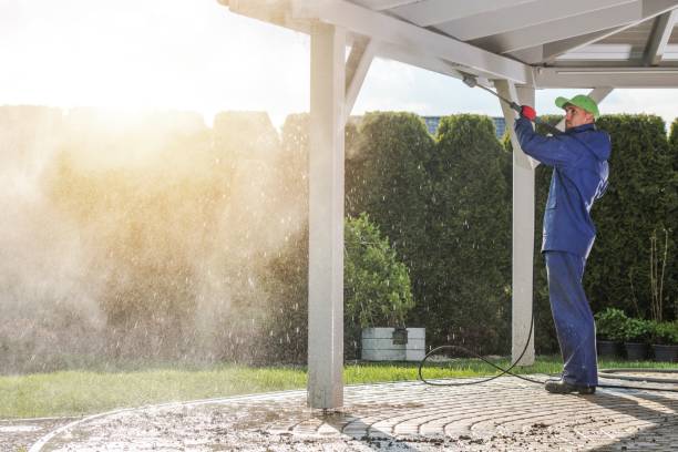 Animal Enclosure Cleaning in Bethalto, IL